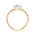 products/52996_a2820378-8fd0-4b39-92ba-9dc602e66da5.png