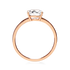 products/53001_6a06a573-b187-4020-84f1-01fca910c38c.png