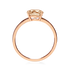 products/53036.png