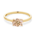 products/53040.png
