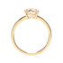 products/53041.png