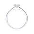 products/Magic_Hour1.png