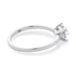 products/Serendipity2.png