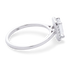 products/True_North2.png